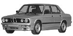 BMW E28 P2410 Fault Code